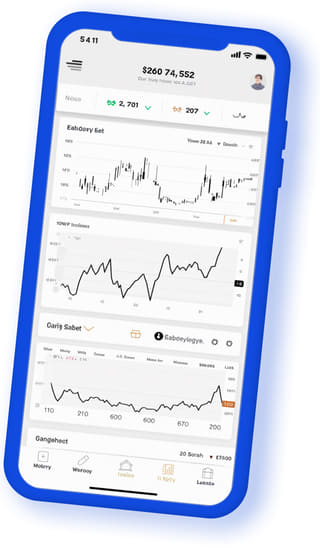 Pedra Rendanca digital web application on mobile device
